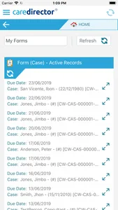 CareDirector screenshot 0