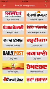 Punjabi Newspapers screenshot 1