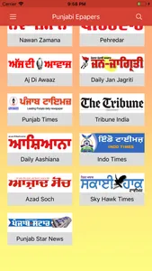 Punjabi Newspapers screenshot 2