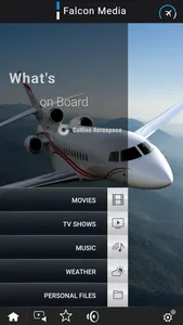 FalconMedia by Collins screenshot 0