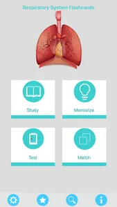 Respiratory System Flashcards screenshot 0