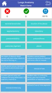 Respiratory System Flashcards screenshot 7