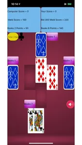 Pinochle Card Game screenshot 5