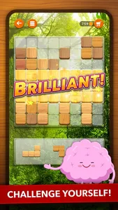 Blockscapes - Block Puzzle screenshot 1