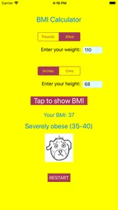 Amusing BMI Calculator screenshot 1