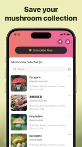 Picture Mushroom: Identifier screenshot 5