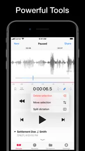 Dictate⁺ screenshot 4