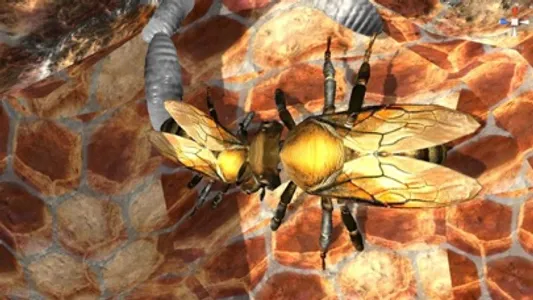 Bee Nest Simulator Full screenshot 3