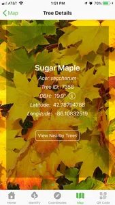 TreeSap screenshot 1