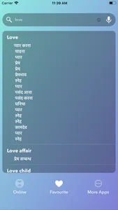 English To Hindi Translator - screenshot 1