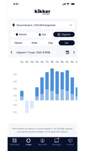 Kikker Energie screenshot 2