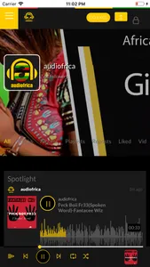 Audiofrica Artist screenshot 1