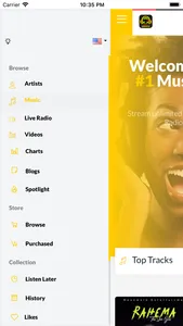 Audiofrica Artist screenshot 4