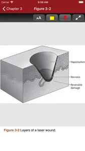 KJ Lee's Otolaryngology, 12/E screenshot 5