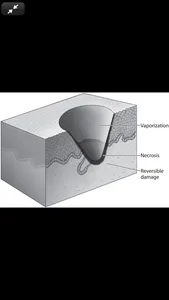 KJ Lee's Otolaryngology, 12/E screenshot 6