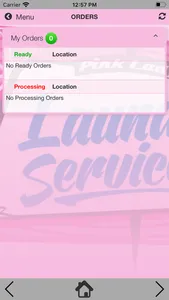 Pink Lady Laundry Services screenshot 5