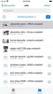 Filemo for Arq screenshot 1