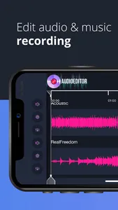 Audio Editor: Recording Studio screenshot 0