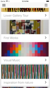 Agam Museum-Beyond the Visible screenshot 1