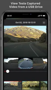 Cam Viewer for Tesla screenshot 0