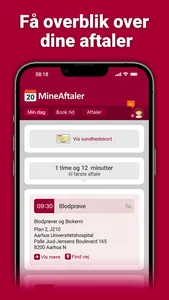 MineAftaler Region Midtjylland screenshot 0