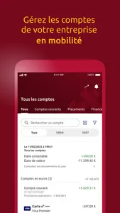 Banque Dupuy de Parseval Pro screenshot 1