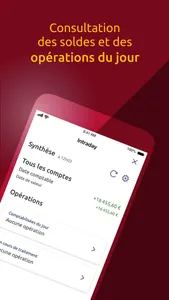 Banque Dupuy de Parseval Pro screenshot 2