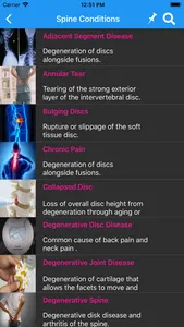 Deuk Spine Institute screenshot 4