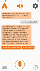 Sally Sales Assistant screenshot 1