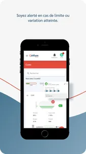 Allium Energies screenshot 4