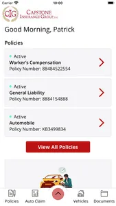 Capstone Insurance Group, LLC screenshot 1