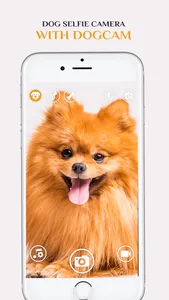 Dog Selfie Camera screenshot 1