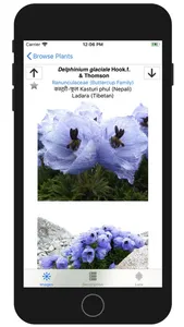 Wildflowers of Mount Everest screenshot 2