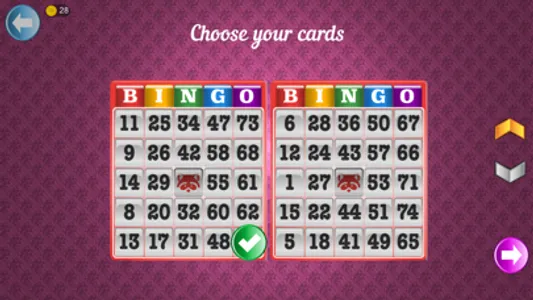 Bingo Set screenshot 4