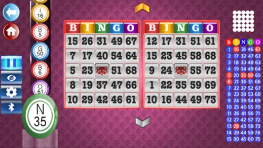 Bingo Set screenshot 6