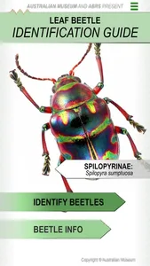 Leaf Beetle ID Guide screenshot 0