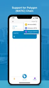 iOWN Wallet screenshot 3