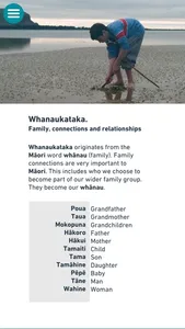 Whitiwhiti Ora screenshot 5