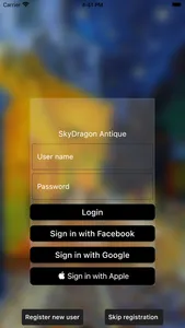 SkyDragon Antiques screenshot 0