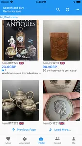 SkyDragon Antiques screenshot 2