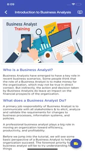 Business Analyst Starter Kit screenshot 5