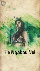 Te Ngākau Nui screenshot 0