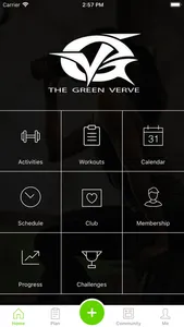 The Green Verve screenshot 0