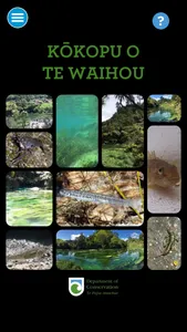 Kōkopu o te Waihou screenshot 3