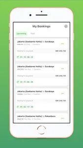 Citilink screenshot 2