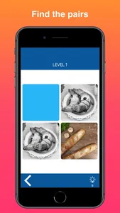 Memory Match : Concentration screenshot 0
