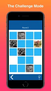 Memory Match : Concentration screenshot 3