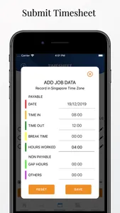 NUS Timesheet screenshot 2