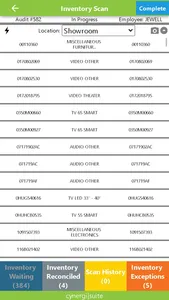 Cynergi Inventory Audit screenshot 2