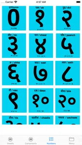 Nepali Phrase screenshot 4